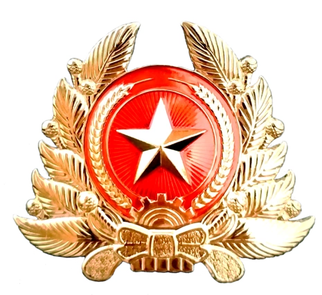 quân hiệu